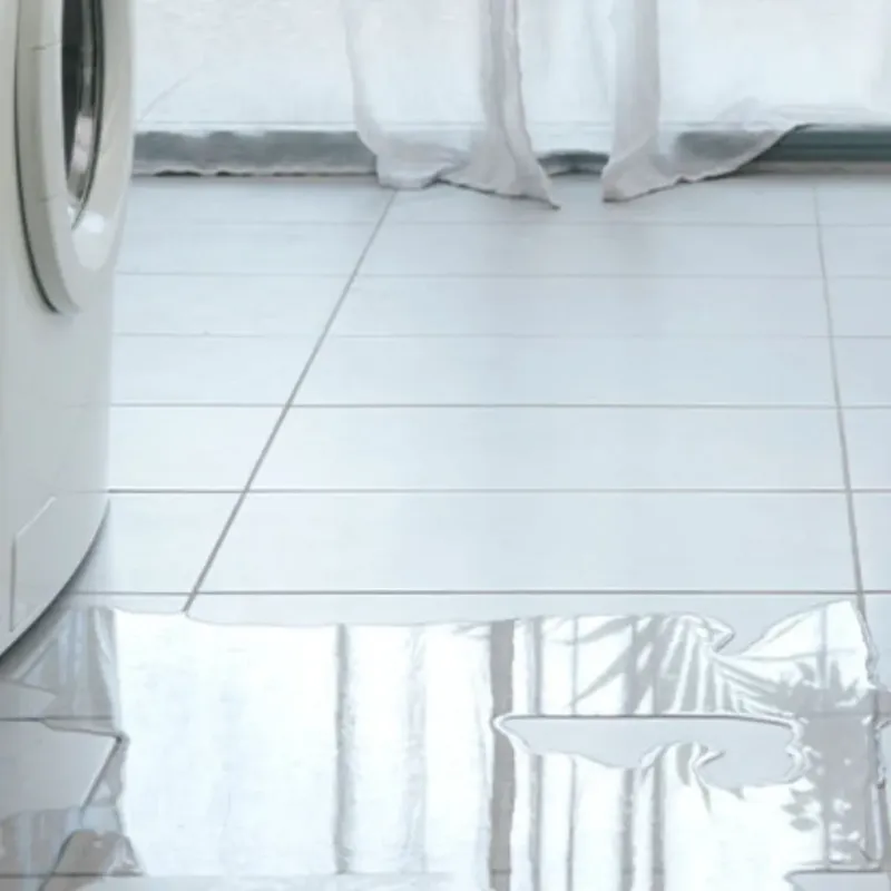 Appliance Leak Cleanup in Lake City, SC