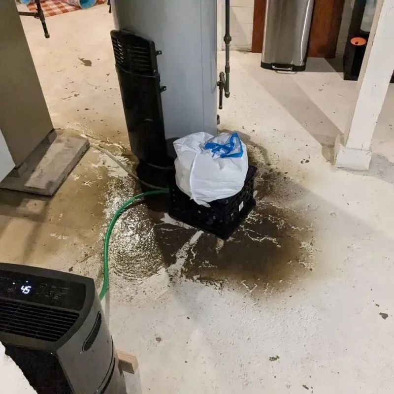 Sewage Backup Cleanup Service in Lake City, SC